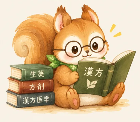 漢方を勉強するイメージのリス